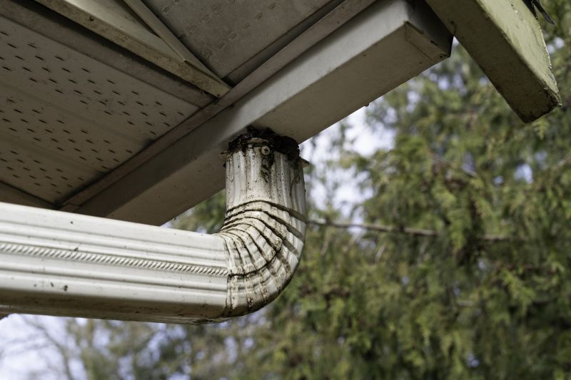 Downspout Drainage Check