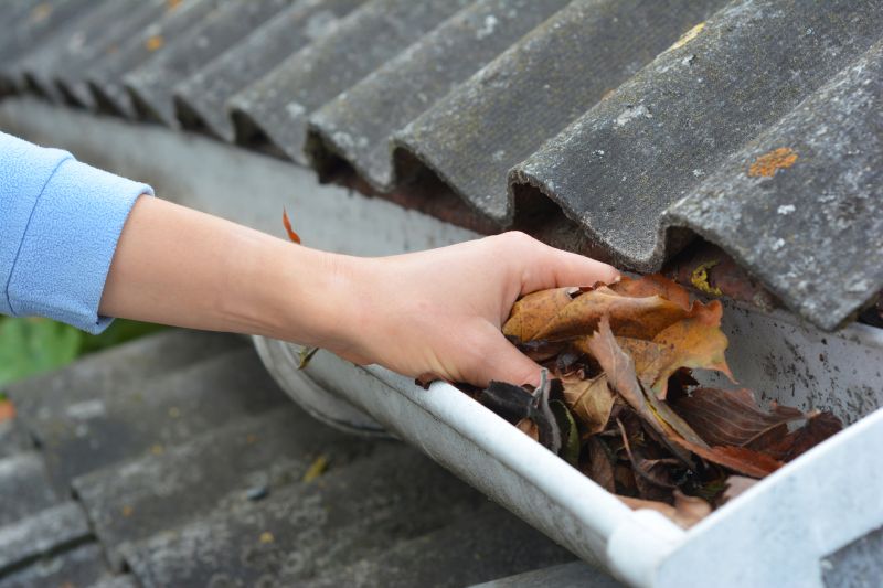 Clean Gutters with Gutter Brushes