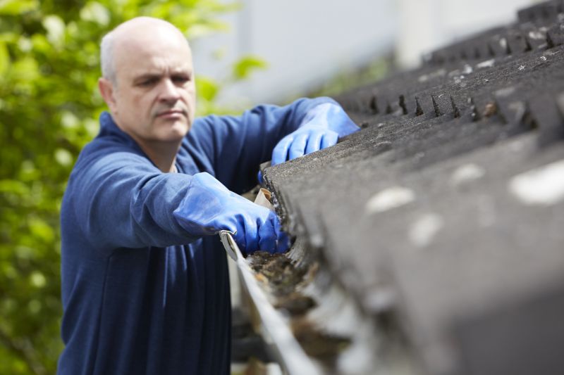 Local Gutter Cleaning Experts
