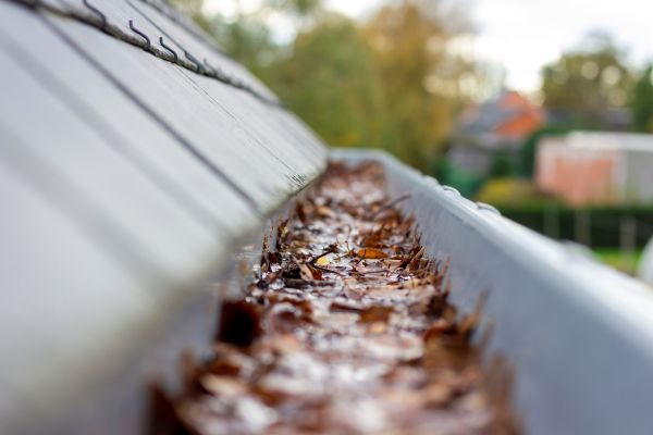 Commercial Gutter Cleaning in Bluffton