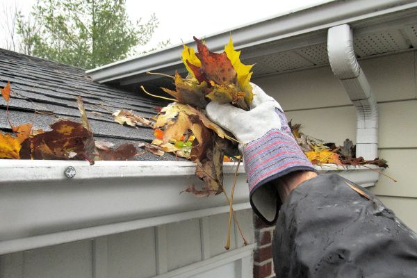 Leaf Gutter Cleaning in Bluffton