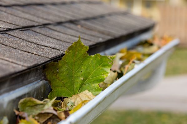 Commercial Downspout Cleaning in Bluffton