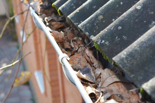 Home Gutter Cleaning in Bluffton
