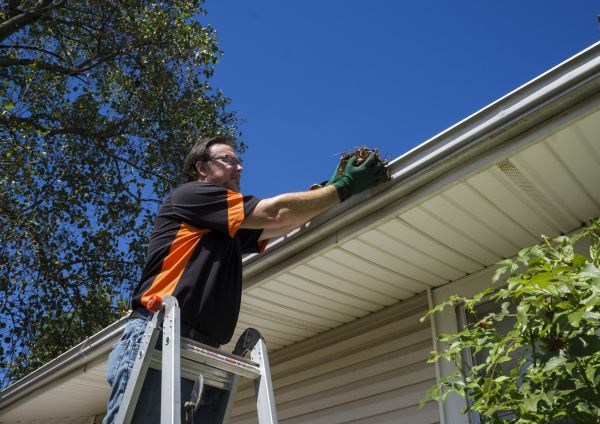 Eavestrough Clearing in Bluffton