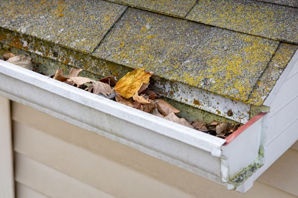 Garage Gutter Cleaning in Bluffton