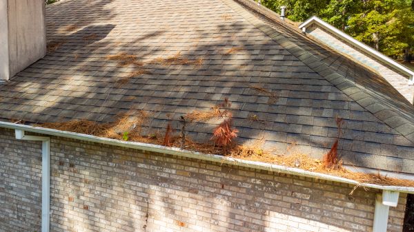 Gutter Pine Needle Removal in Bluffton